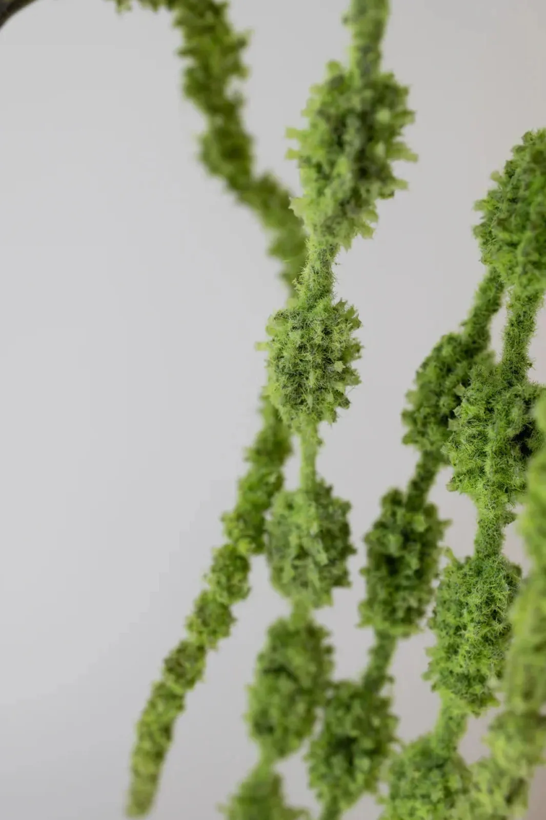 Bloom Objects Artificial Amaranthus 6 Fork 02-179 | Dekorationer