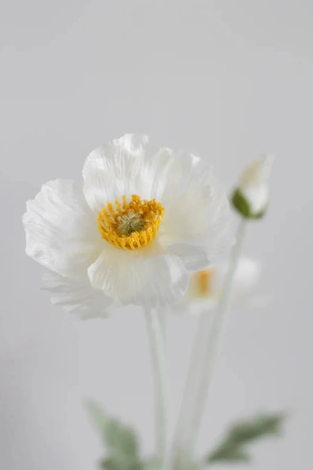 Bloom Objects Artificial Poppy 02-132 | Dekorationer