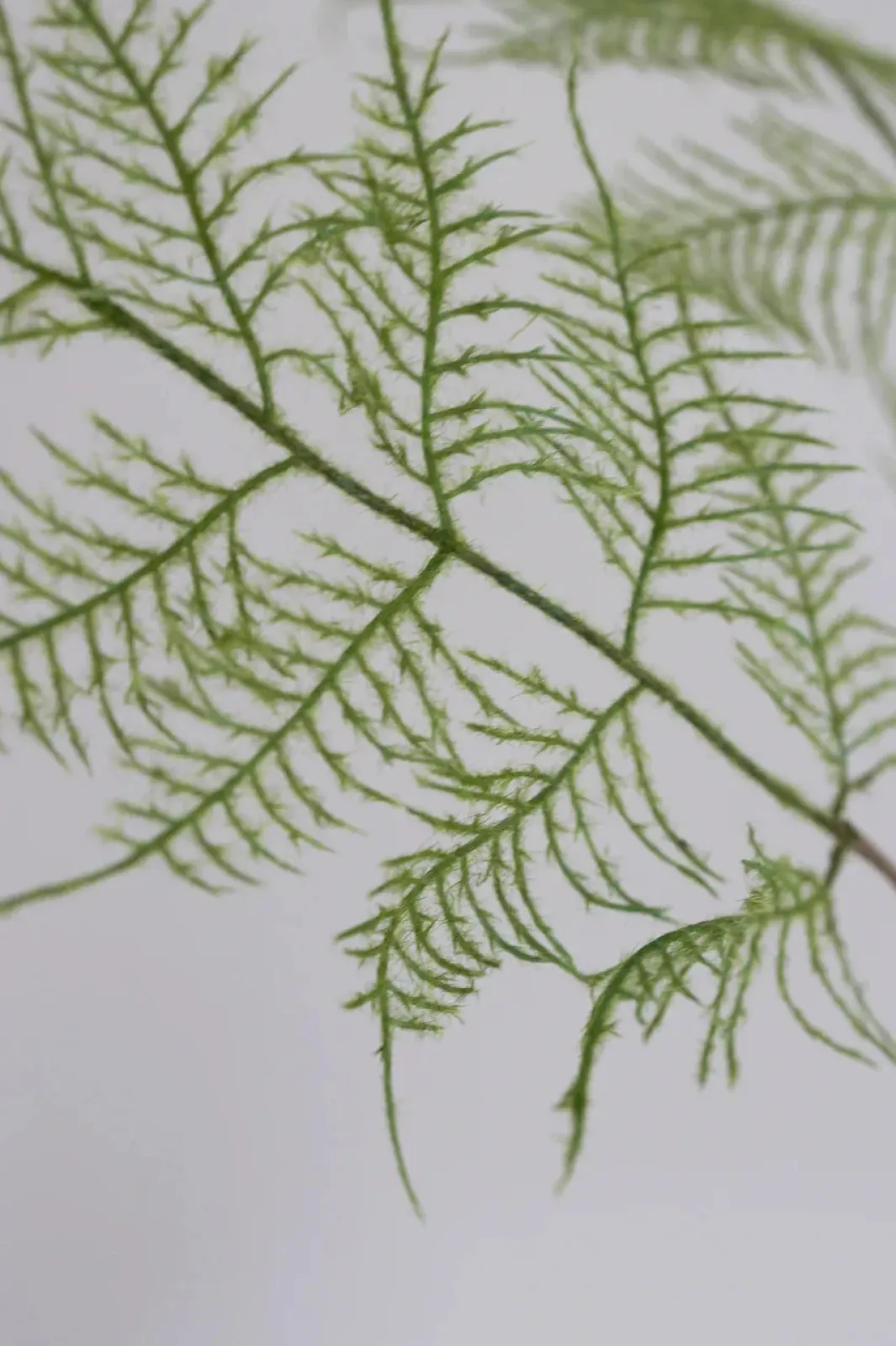 Bloom Objects Artificial Fern Plant 02-110 | Dekorationer