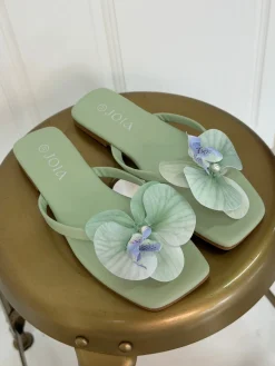 Bloom Blmorning Glory Sandals | Sandaler