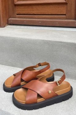 Cssummertime CS9011