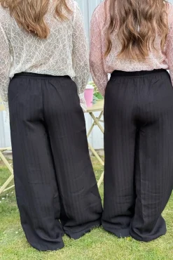 Dmclara And Luise 155087C