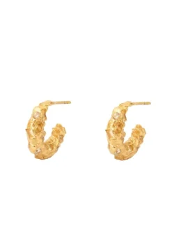 Hvtrinket Hoop Earrings VJ194-UEG-Y