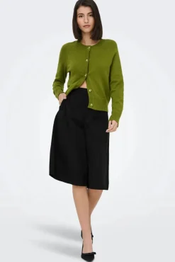 JDY bianca Beruda hort | Shorts