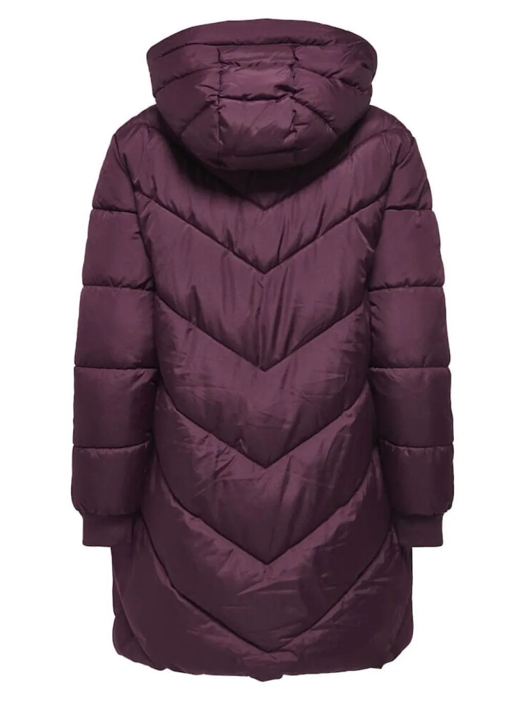 Jdyskylar Life Hood Jacket