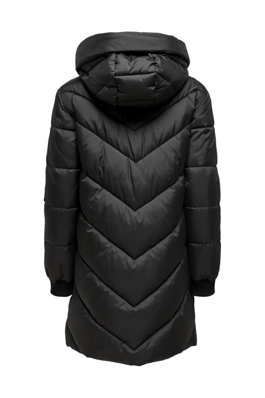 JDY kyar Padded Hood Jacket | Ytterkläder & Jackor