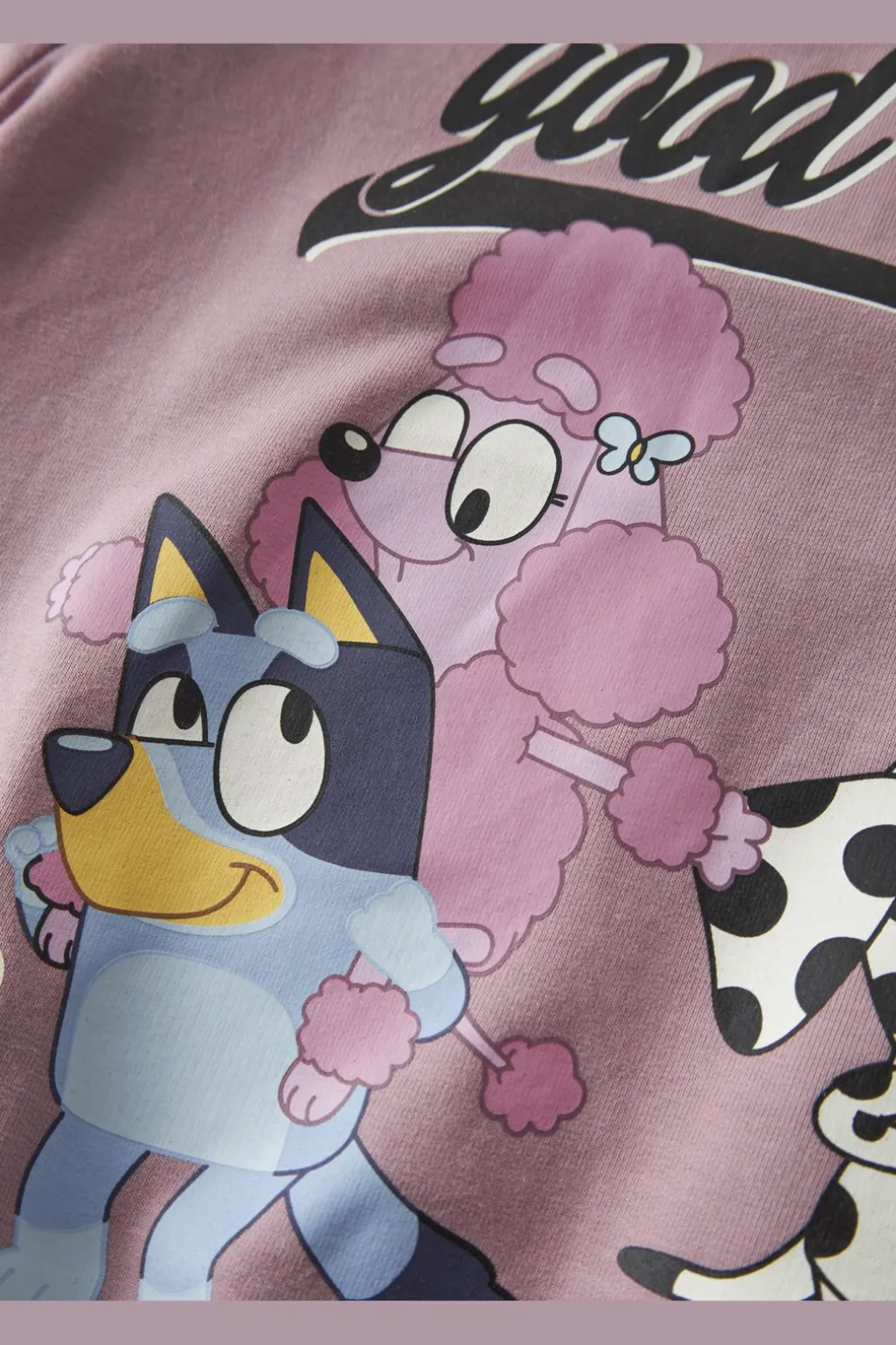 Nmfjonera Bluey Sweat Sky