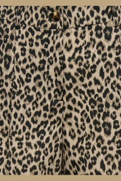 Onlemmia Shorts