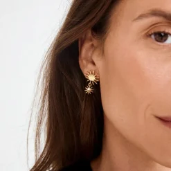 Pilgrim Pglyricus Earrings Gold-plated 262622023 | Örhängen