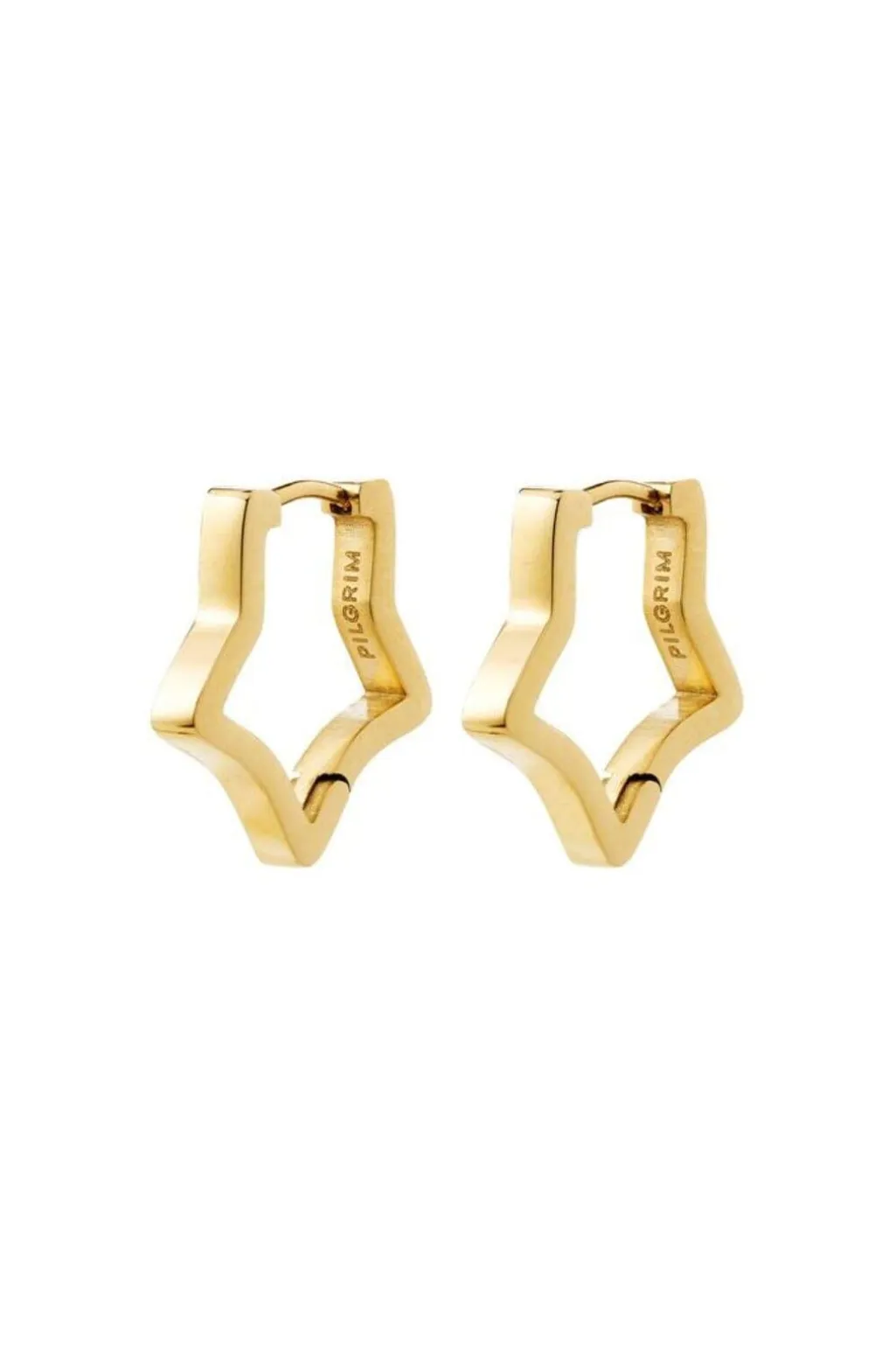 Pgsolari Earrings Gold-plated 262622073