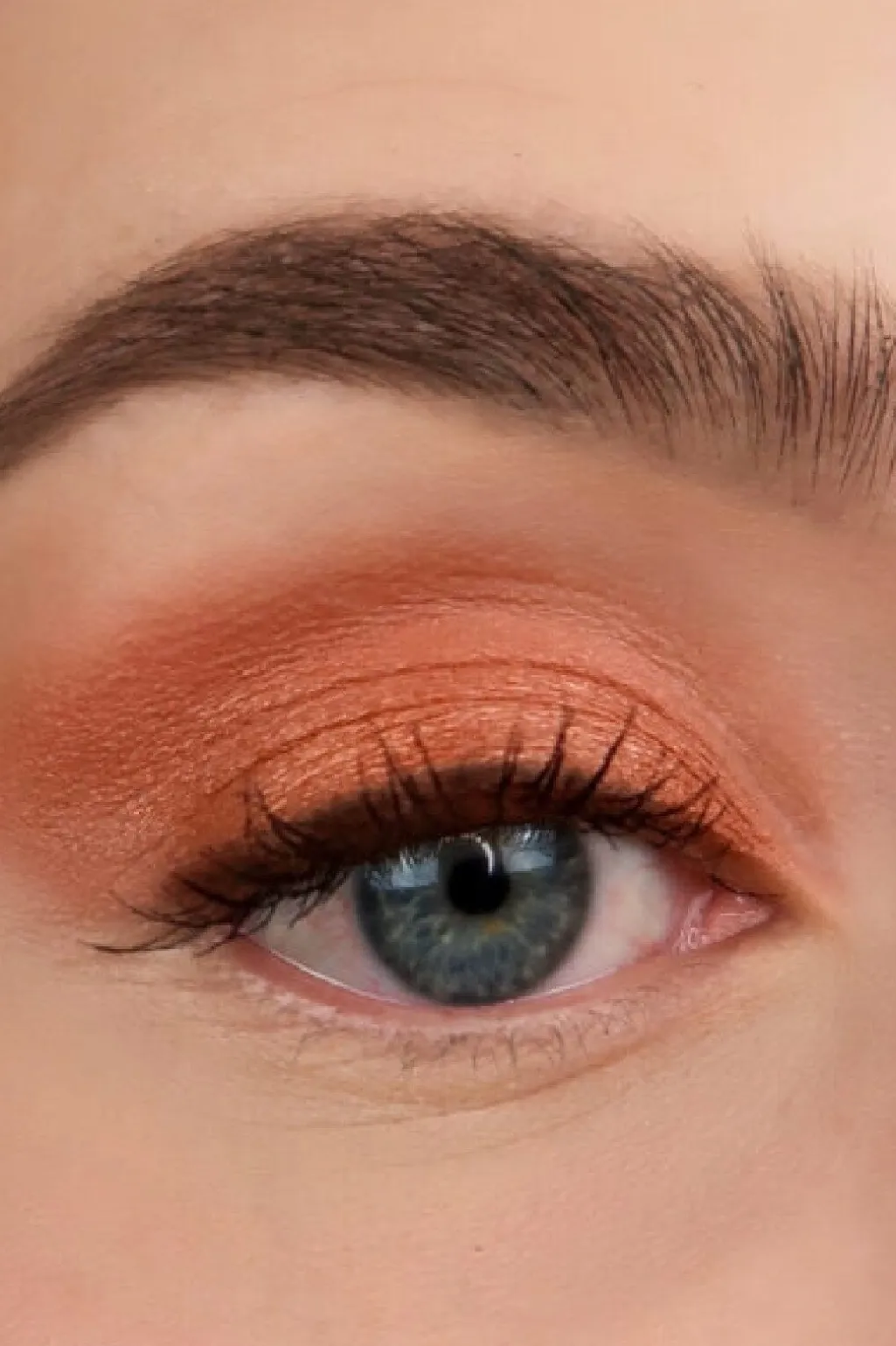 Steyeshadow