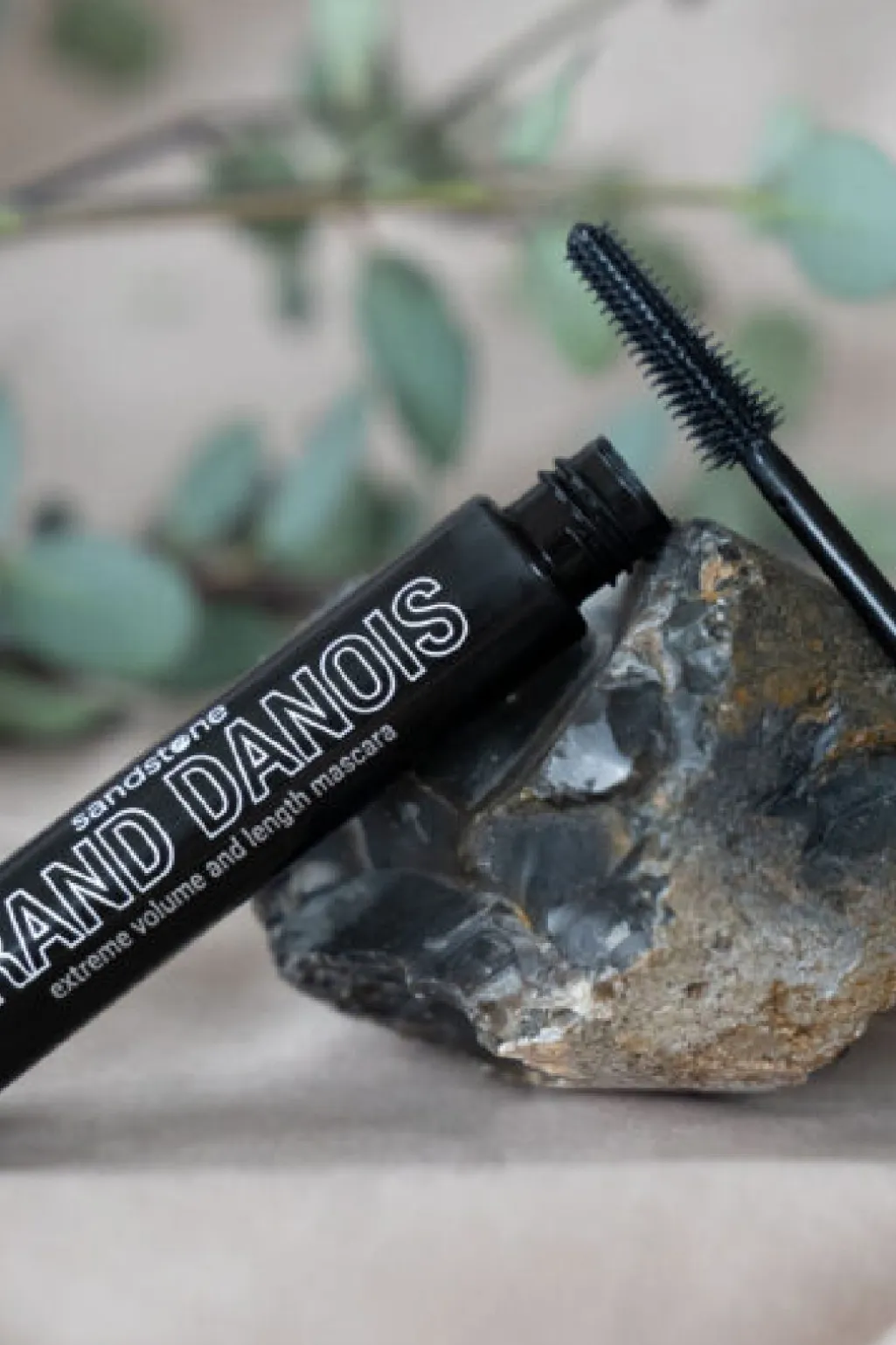 Stmascara Grand Danois