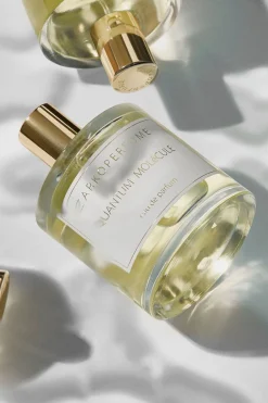 Zarkoperfume ZpqUANTUM MOLéCULE EDP 100 ml. | Parfym